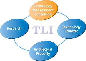 TLI Services