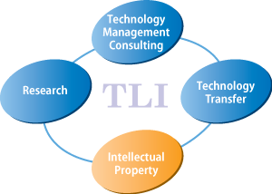 TLI Services