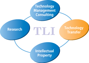 TLI Services